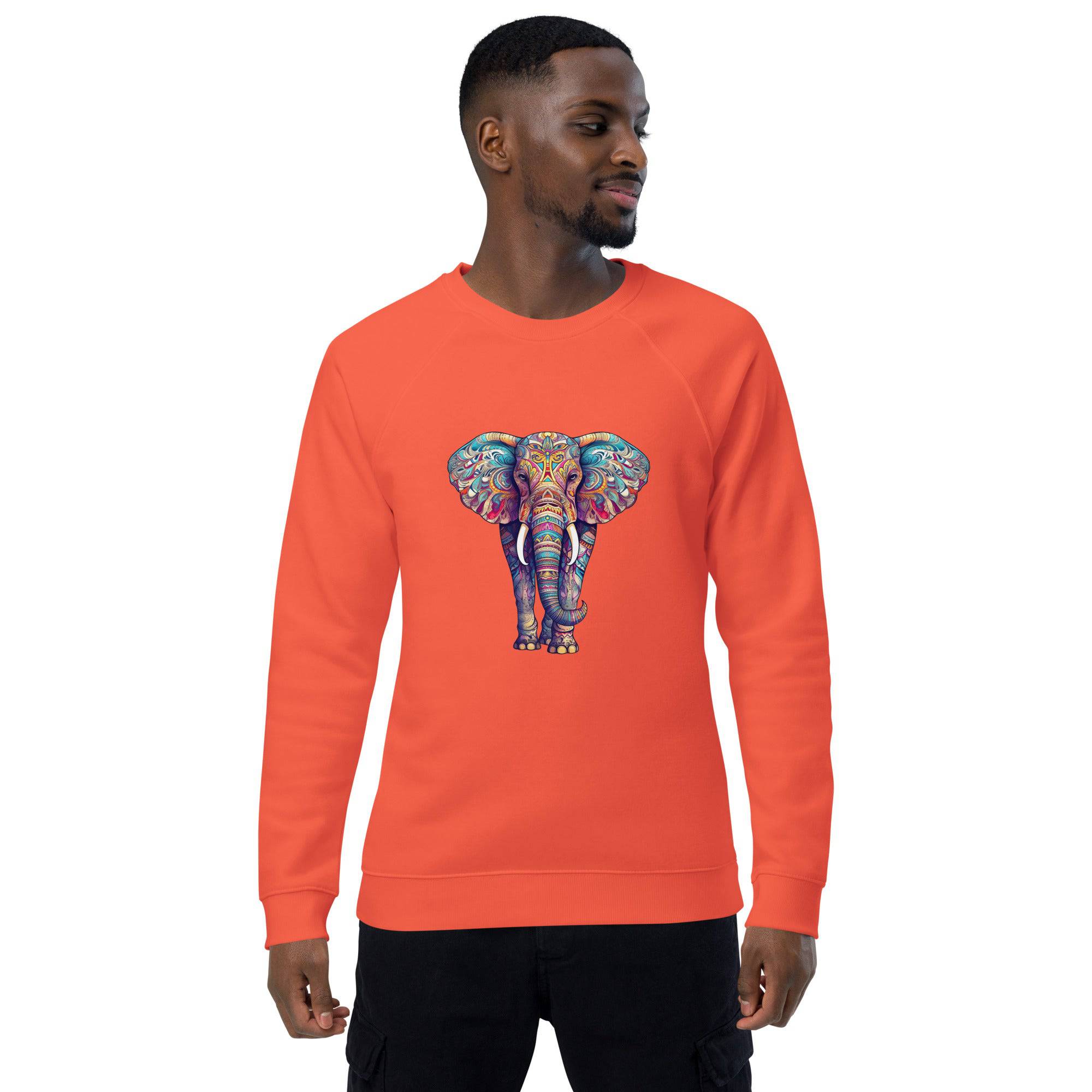 Unisex organic sweatshirt/Coloful-Elephant